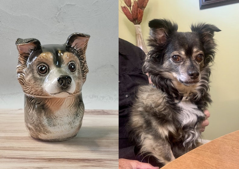 Custom Portrait Pet Urn for Ashes, Personalized Dog Pottery Container with Lid, Cat Storage Canister, Pet Loss Gift
