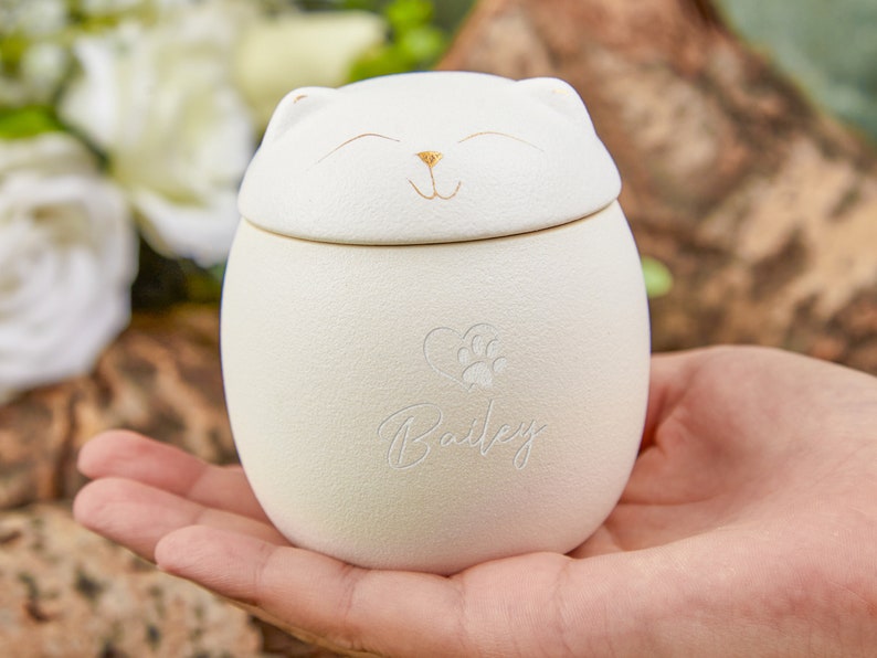 Custom Pet Paw Urn Cat with Name and Date,Modern Pet Ashes Cremation Urn,Personalized Pet Urns for Dogs Cats,Pet Memorial Art,Pet Loss Gifts
