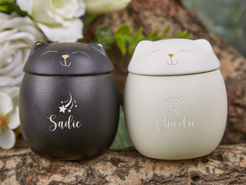 Custom Pet Paw Urn Cat with Name and Date,Modern Pet Ashes Cremation Urn,Personalized Pet Urns for Dogs Cats,Pet Memorial Art,Pet Loss Gifts