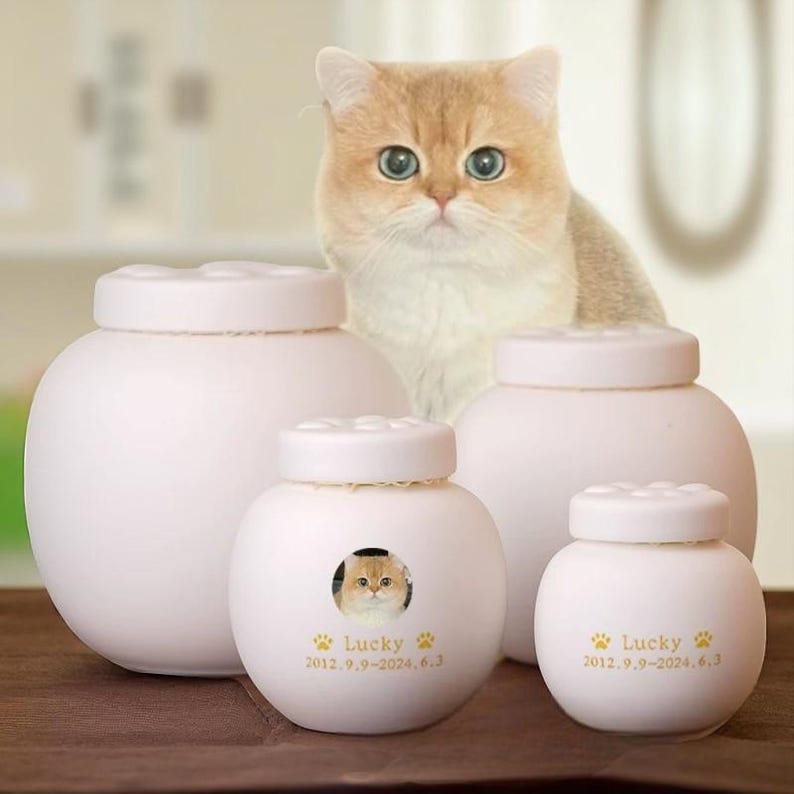 Custom White Pet Urn - Ceramic Cat Paw Memorial Urn for Ashes - Personalized Engraved Pet Cremation Urn - Photo & Name Keepsake - Cat/Dog
