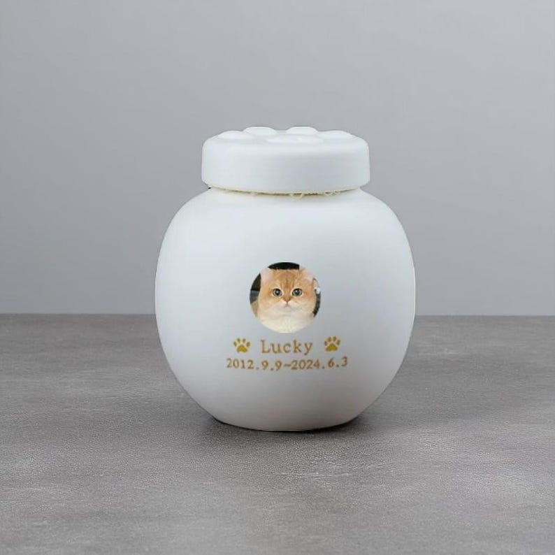 Custom White Pet Urn - Ceramic Cat Paw Memorial Urn for Ashes - Personalized Engraved Pet Cremation Urn - Photo & Name Keepsake - Cat/Dog