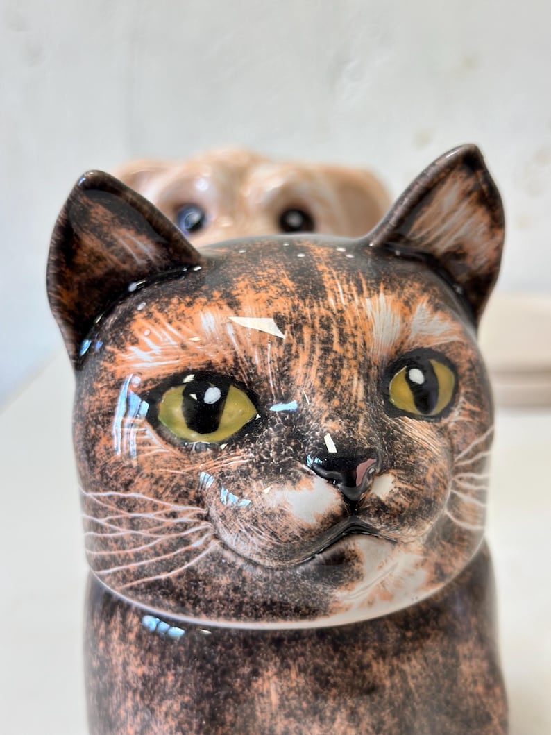 Tortoiseshell Cat Portrait | Pet Urn for Ashes | Personalised Cremation Urn with Lid | Cat and Dog Mom Lover | Memorial Gift | Pet Loss Gift
