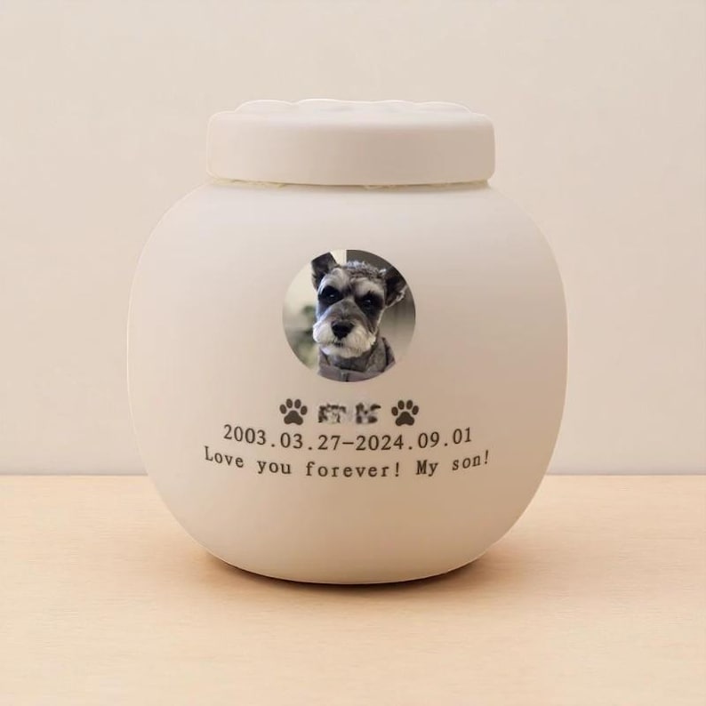 Custom White Pet Urn - Ceramic Cat Paw Memorial Urn for Ashes - Personalized Engraved Pet Cremation Urn - Photo & Name Keepsake - Cat/Dog