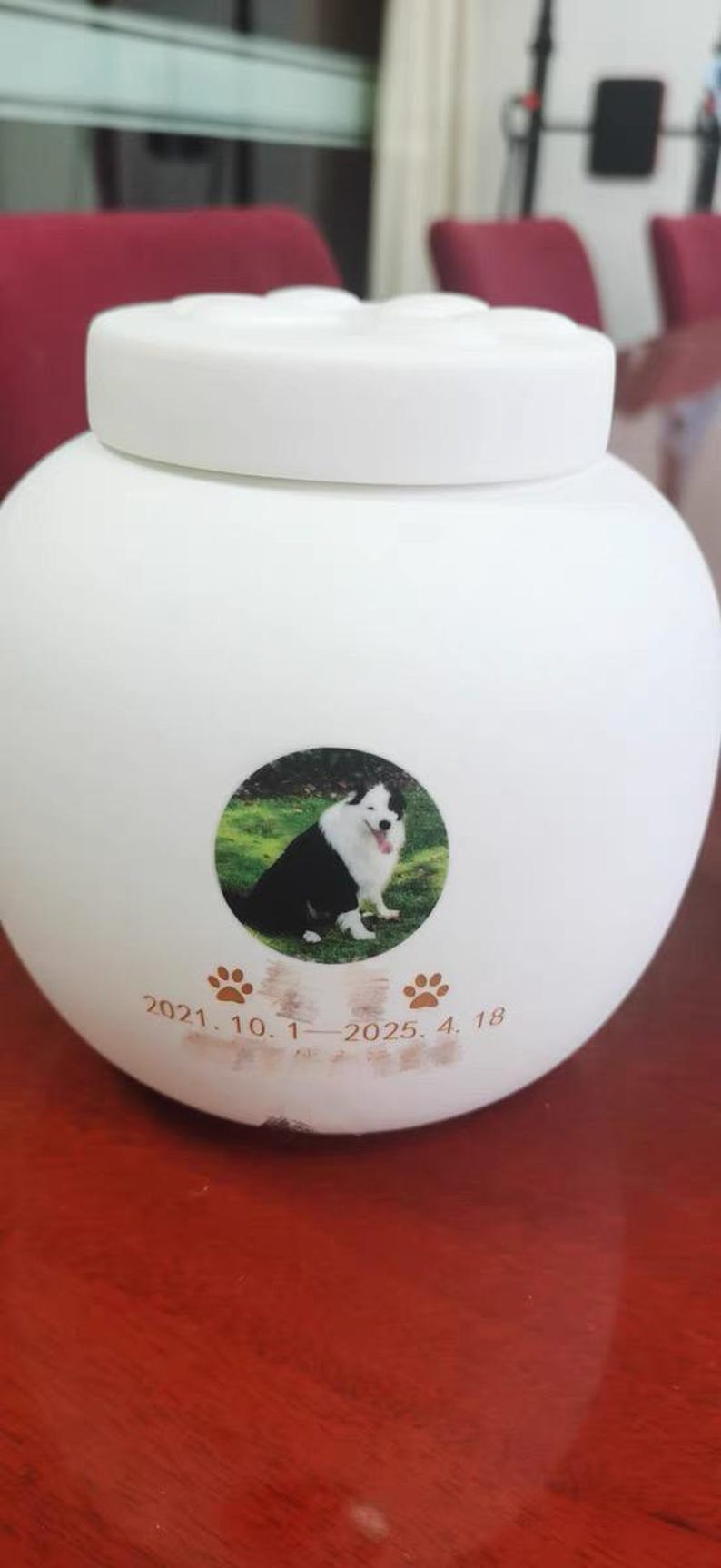 Custom White Pet Urn - Ceramic Cat Paw Memorial Urn for Ashes - Personalized Engraved Pet Cremation Urn - Photo & Name Keepsake - Cat/Dog