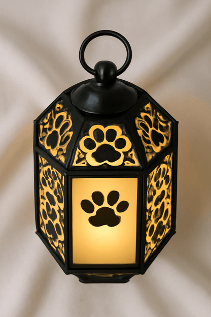 Glimmer in Departure