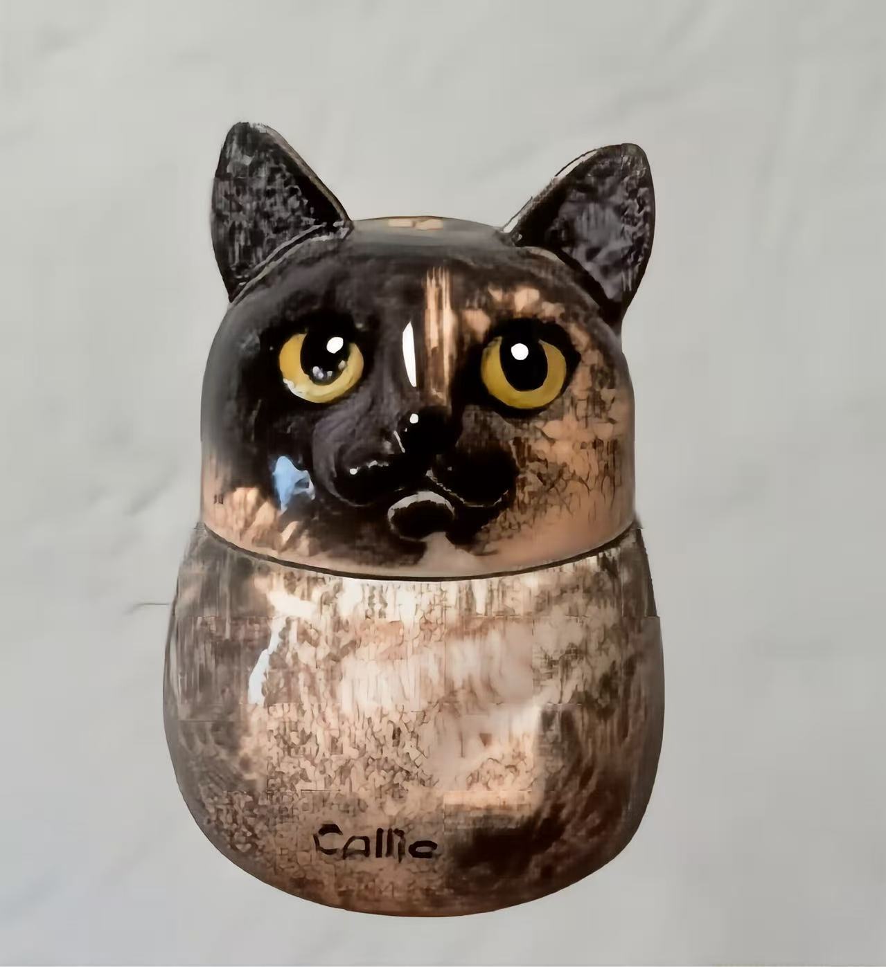 Tortoiseshell Cat Portrait