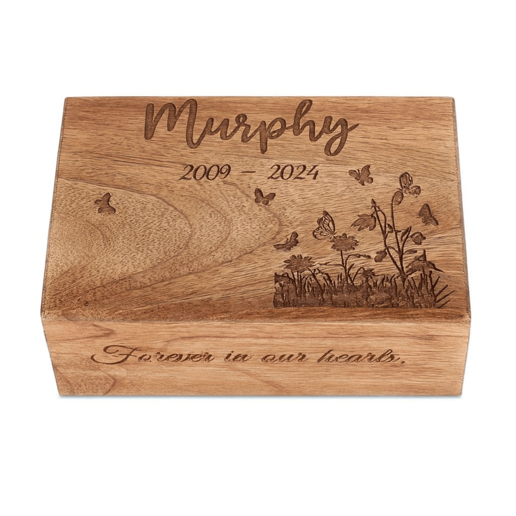 Look into the distance