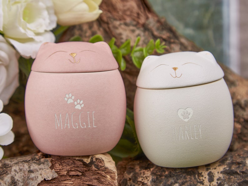 Custom Pet Paw Urn Cat with Name and Date,Modern Pet Ashes Cremation Urn,Personalized Pet Urns for Dogs Cats,Pet Memorial Art,Pet Loss Gifts