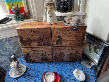 Look into the distance