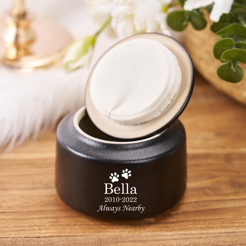 Rhythm of Tranquility