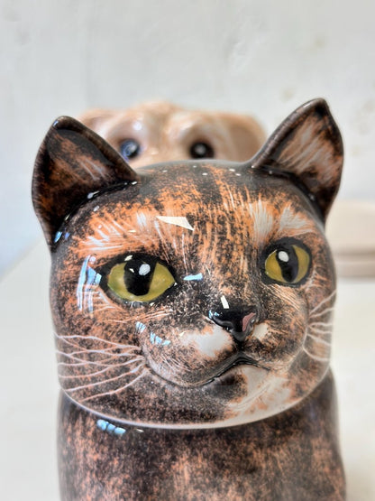 Tortoiseshell Cat Portrait